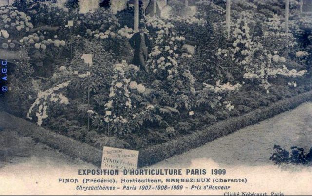 Barbezieux-Saint-Hilaire - Horticulture Pinon Frederic.jpg